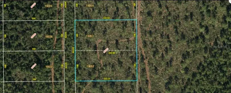 Fort Christmas Rd, FL