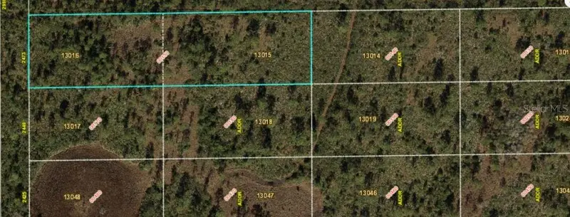 2473 Dill Rd, FL