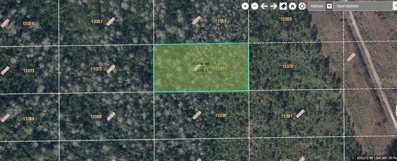 Dill Rd, FL