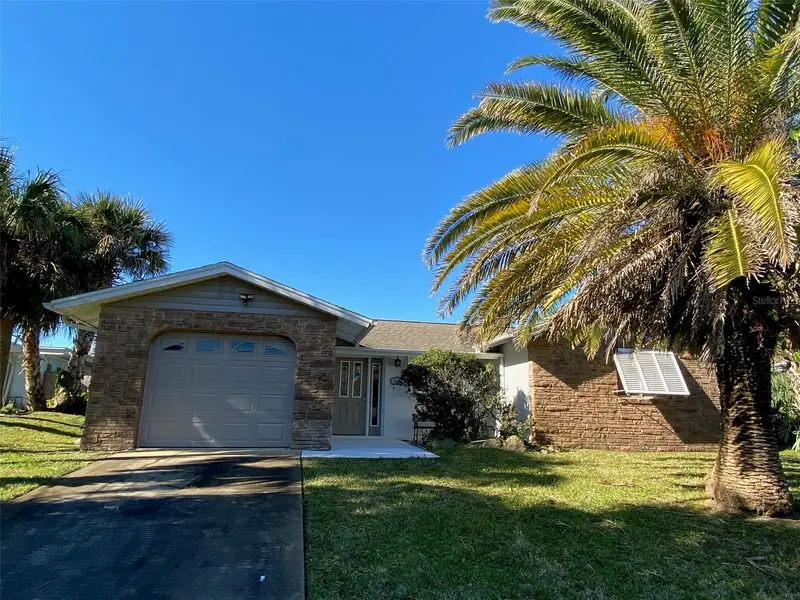 1808 N Peninsula Ave, FL