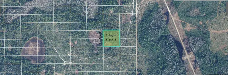 Dill Rd, FL