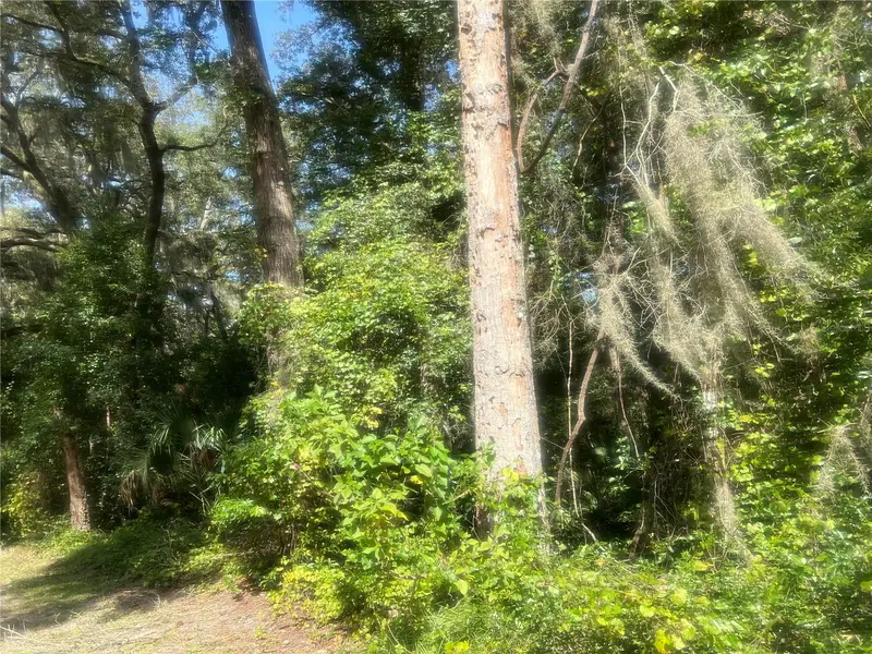 1215 Arredondo Grant Rd, FL