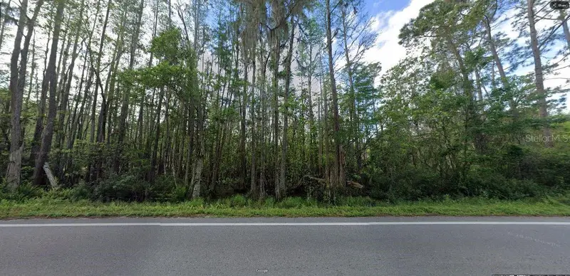 Deen Still Rd, FL