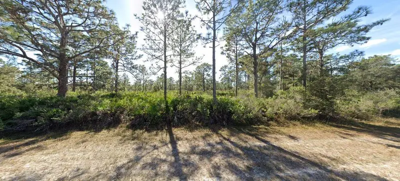 919 Laguna Dr, FL