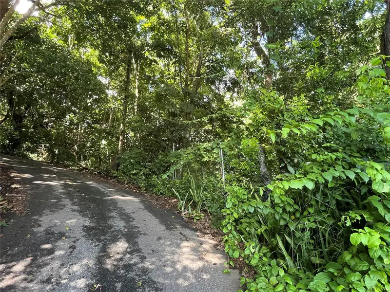 Carr 347 Km 1.6 Bo Sabana Grande Abajo, PR
