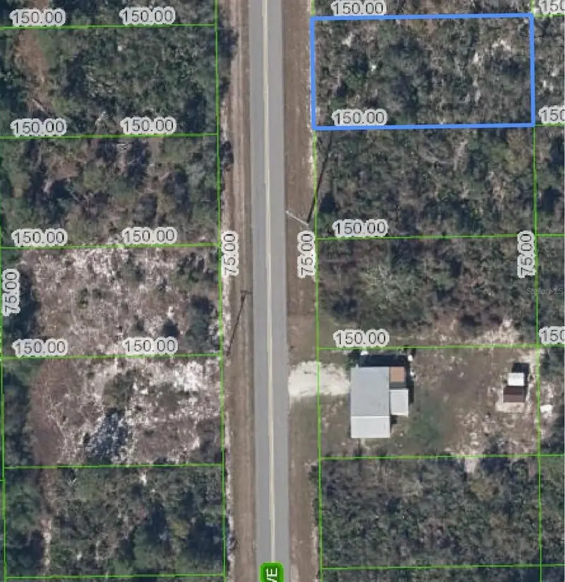 411 Hallmark Ave, FL