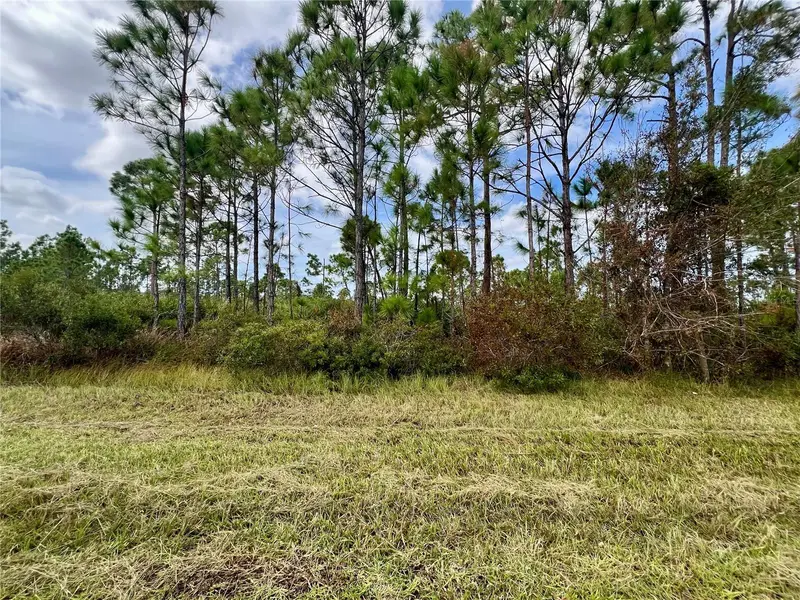 451 Fellenz St, FL