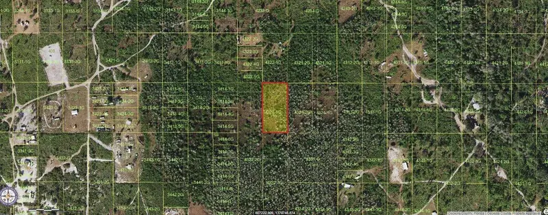 Holopaw Groves Rd, FL