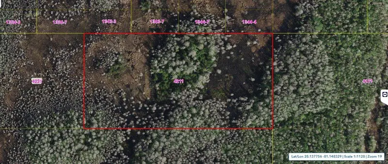 Holopaw Groves Rd, FL