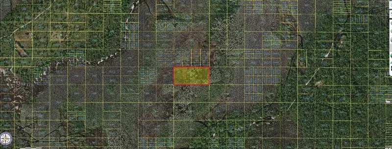 Holopaw Groves Rd, FL