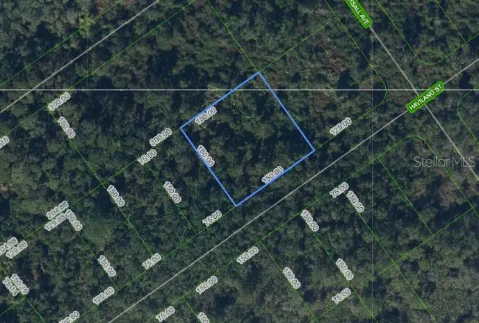 1210 Haviland St, FL
