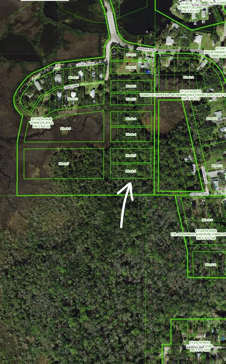 Aripeka Rd, FL
