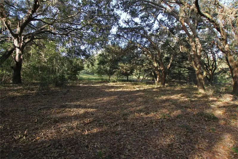 0 Patricia Dr, FL