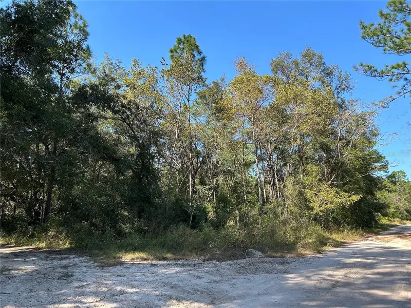 Tbd Ne 138th Terr, FL