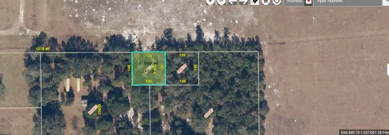 1349 N Fort Christmas Rd, FL