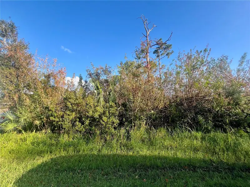 5186 Venus Ter, FL
