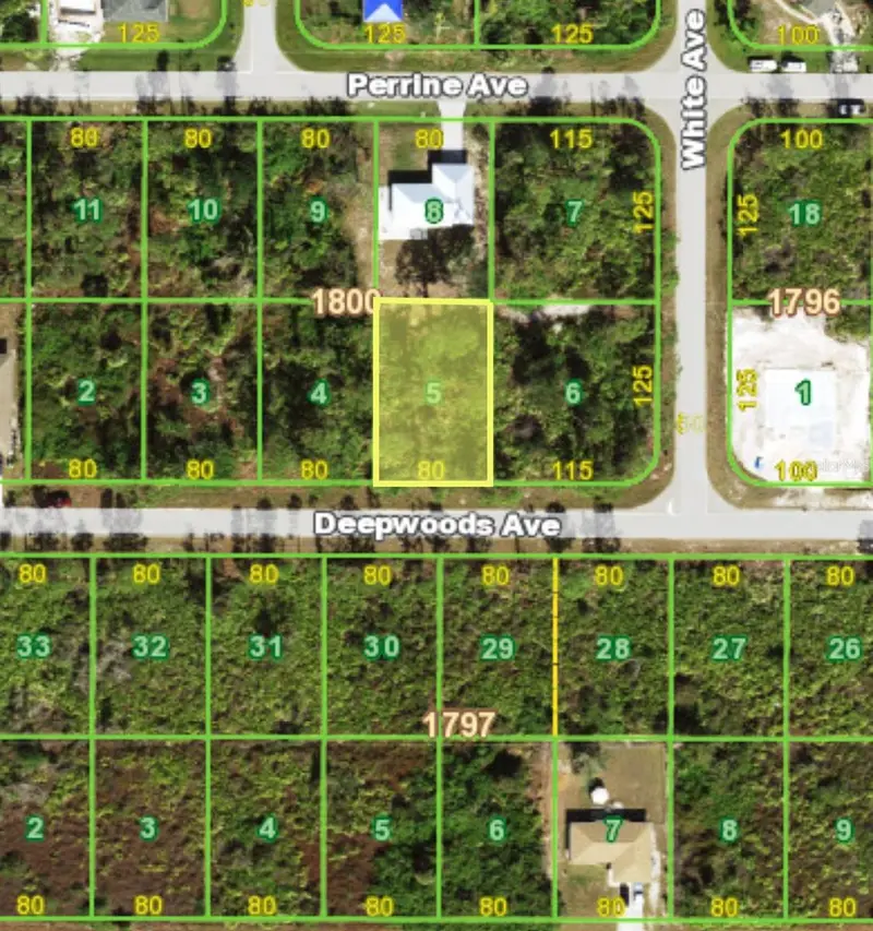 12438 Deepwoods Ave, FL