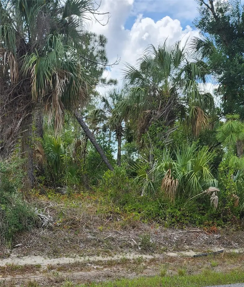 Mcginnis Ter, FL