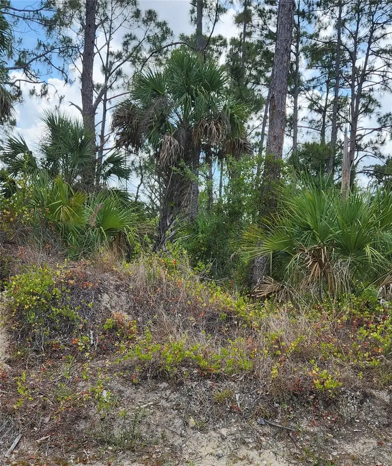 Mcginnis Ter, FL