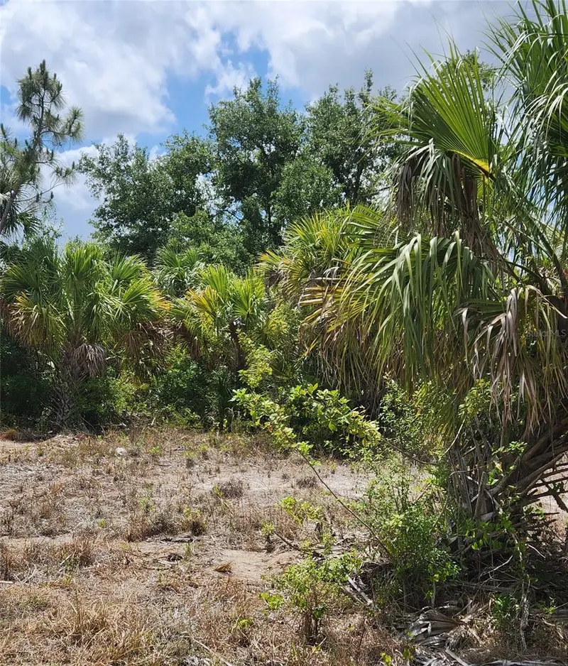 Bennington St, FL