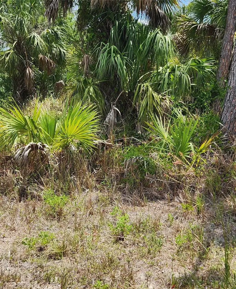 Inverness St, FL