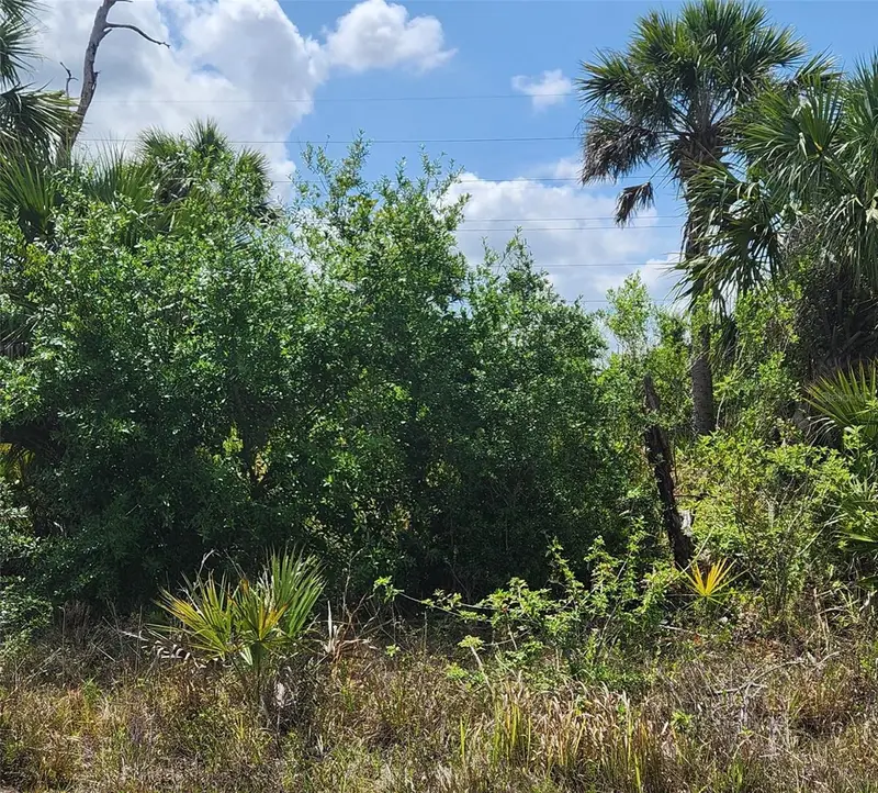 Mansfield Cir, FL