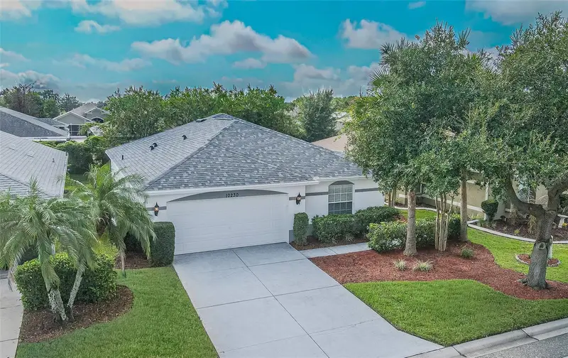 10230 Old Tampa Bay Dr, FL