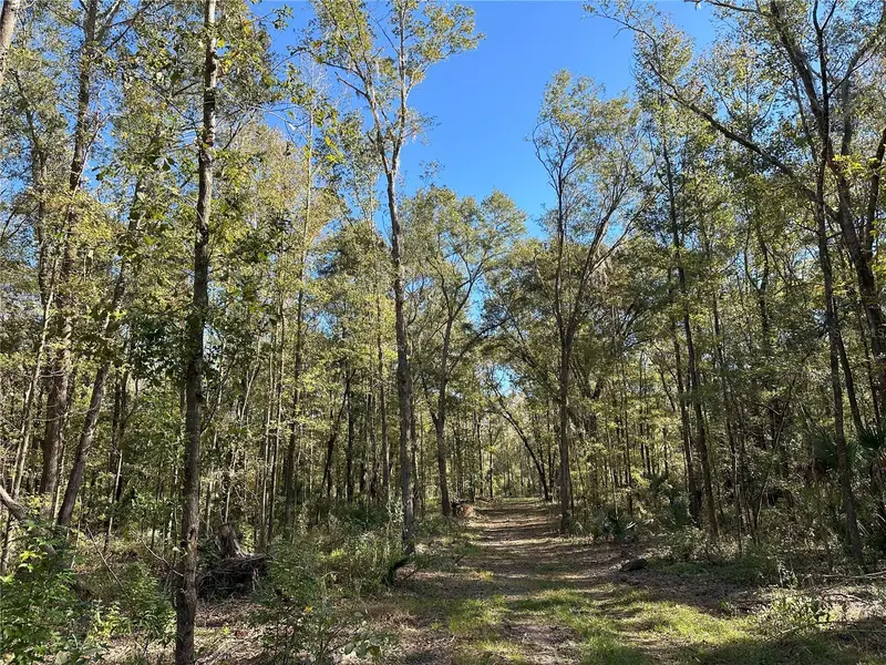 55ac W Hwy 318, FL