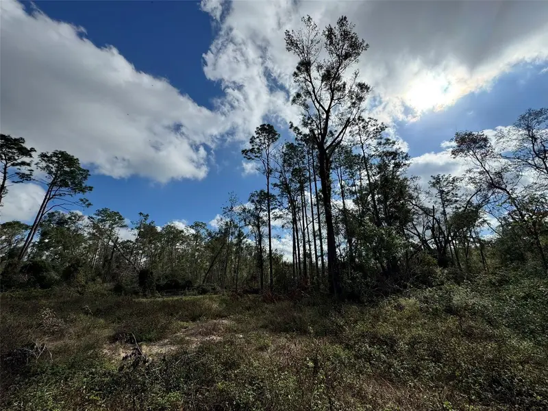 143rd Dr, FL