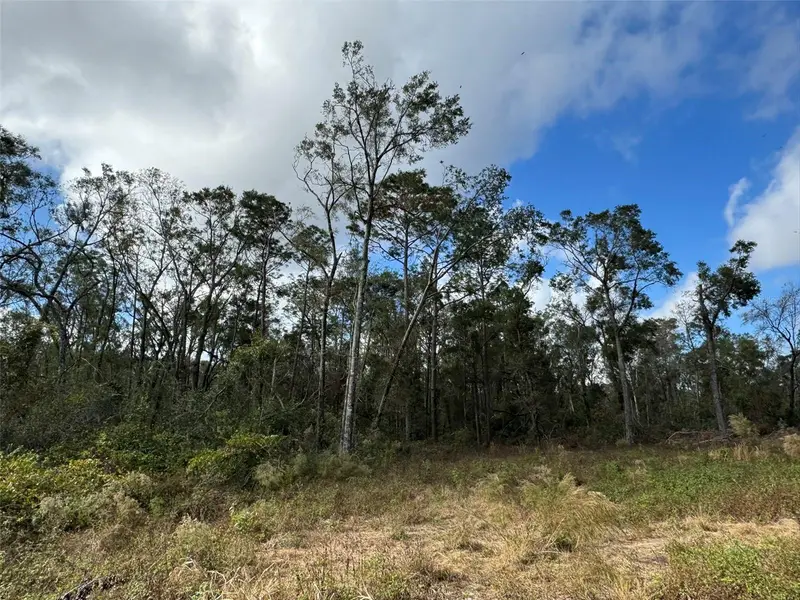 143rd Dr, FL