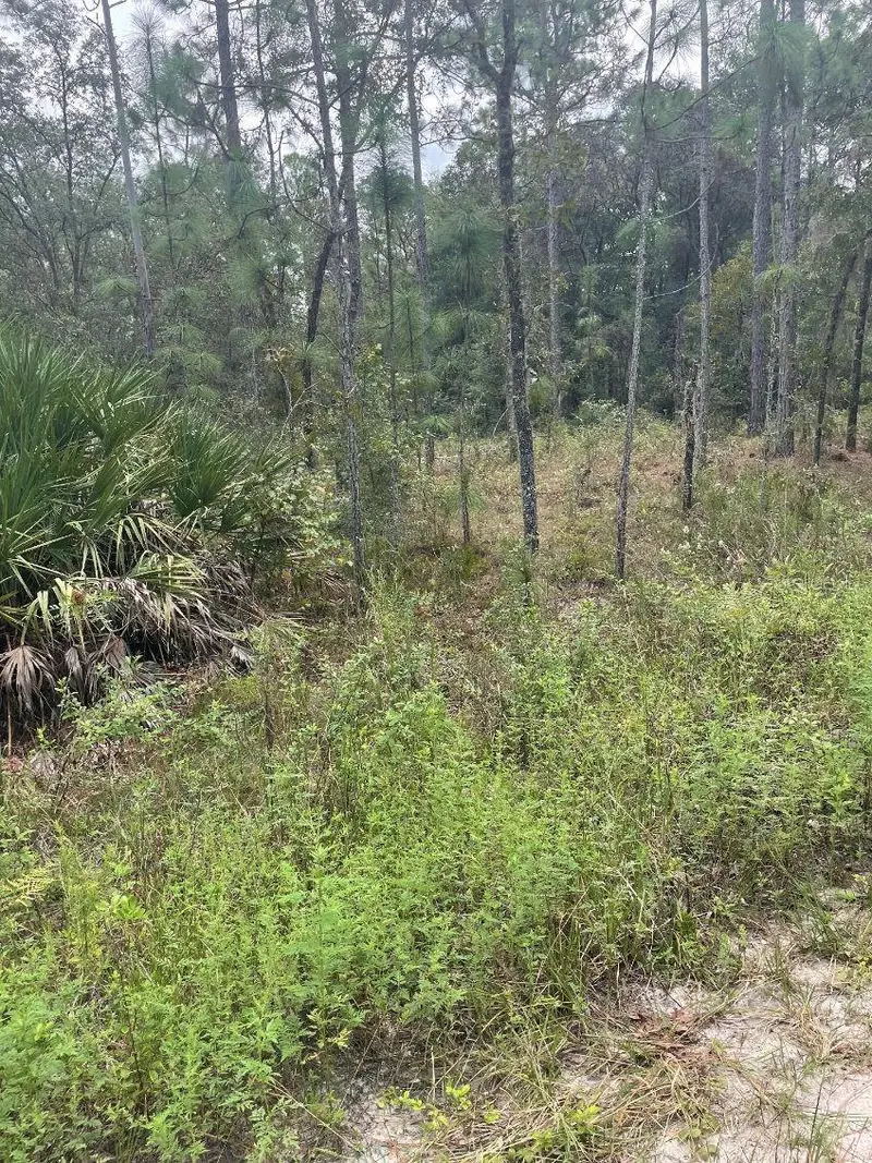 Lot 7 Sw 159th Ave, FL