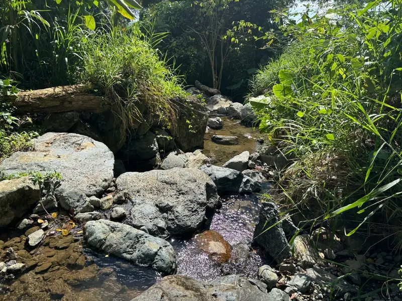 31 Int 950 Km.Hm 9.7 Bo Rio Blanco, PR