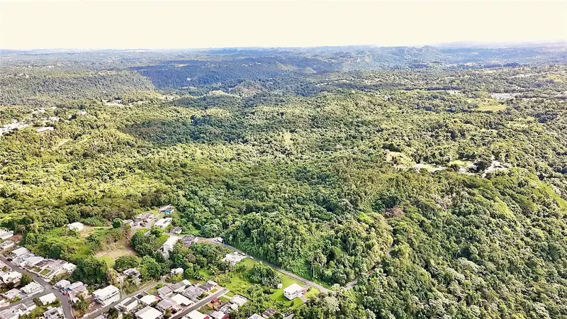 Bo. Juncal Pr-111, PR