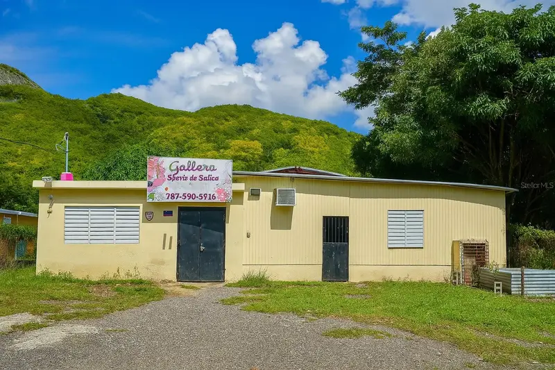 Barrio Quebrada Yeguas La Plena 94, PR