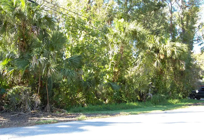 332 Patricia Dr, FL