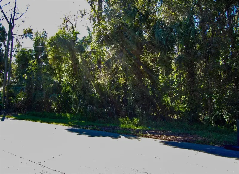 332 Patricia Dr, FL
