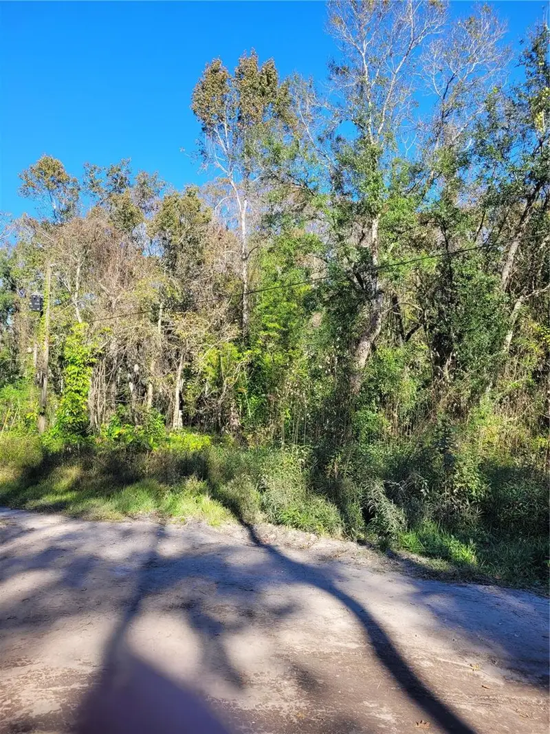 Morena St #5, FL