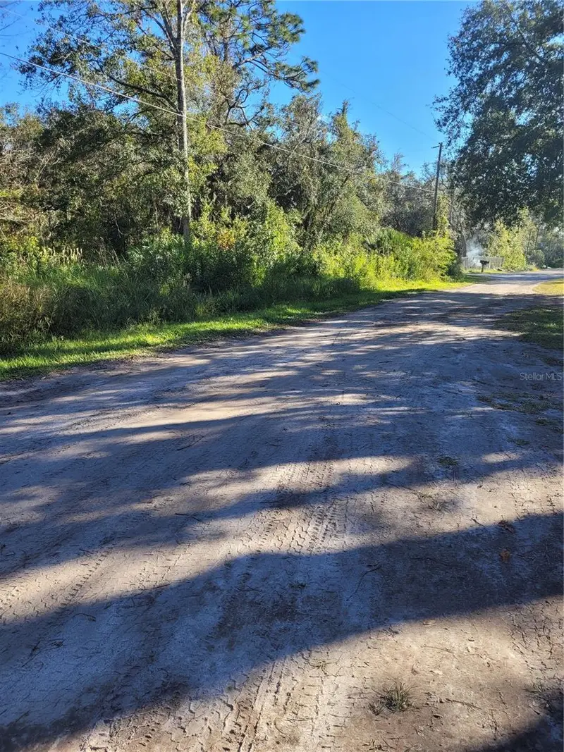 Morena St #5, FL