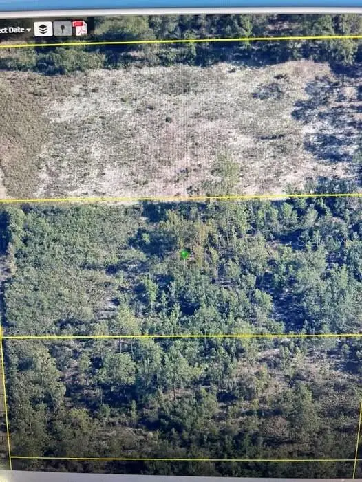 00 Ramsey Rd, FL