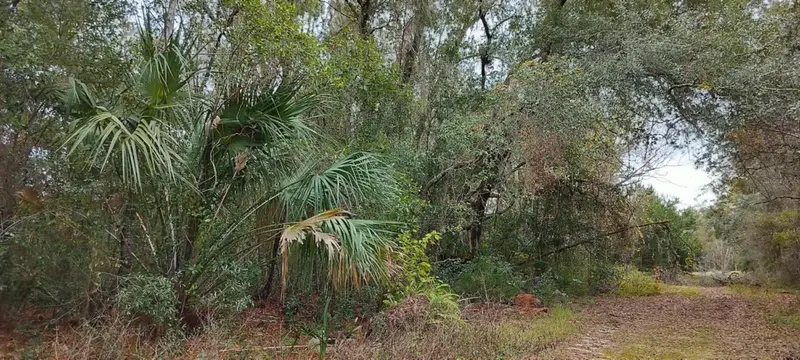 965 S Sally Ter, FL