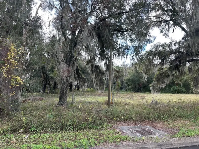 Doyle Rd, FL