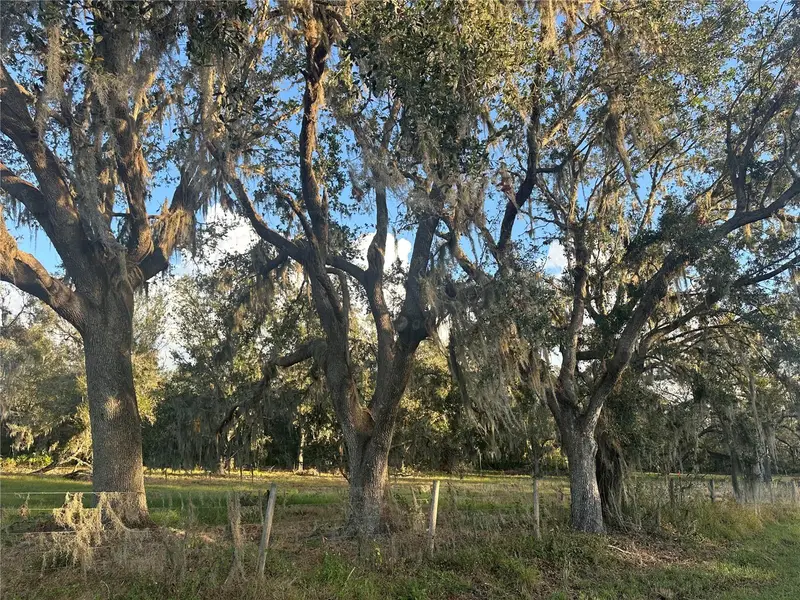 Wauchula, Fl, FL