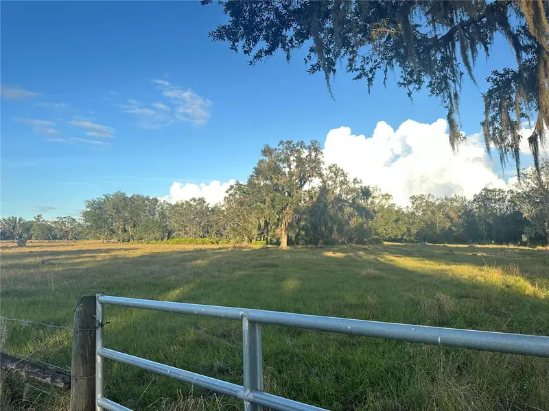 Wauchula, Fl, FL