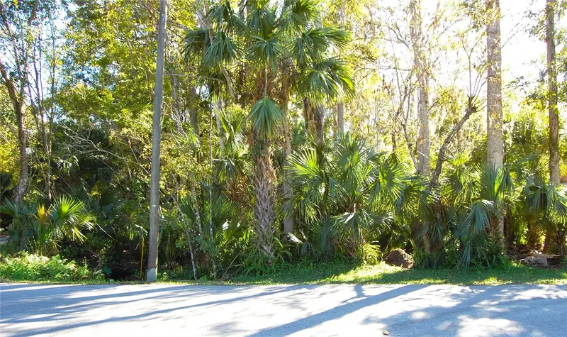 0 Palm Dr, FL