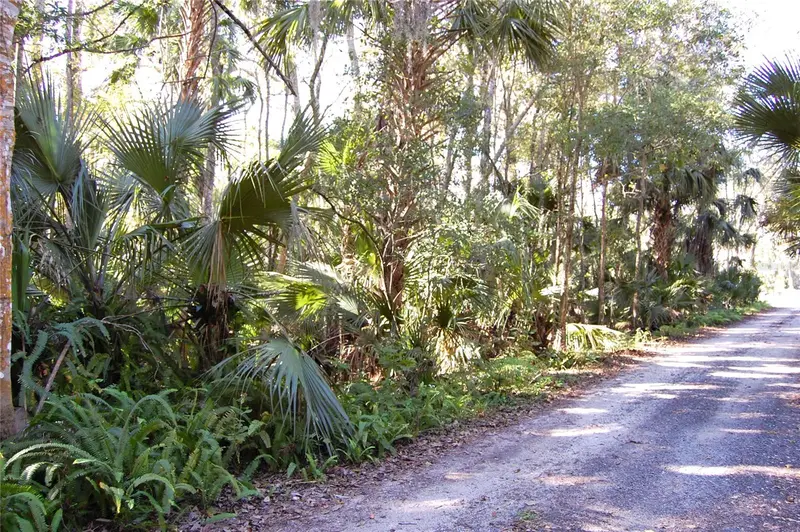 0 Palm Dr, FL