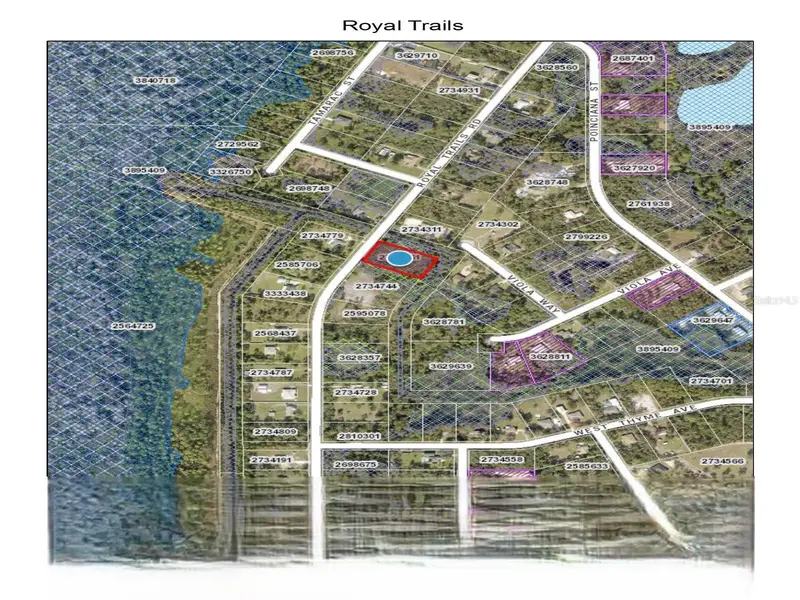 Royal Trails Rd, FL