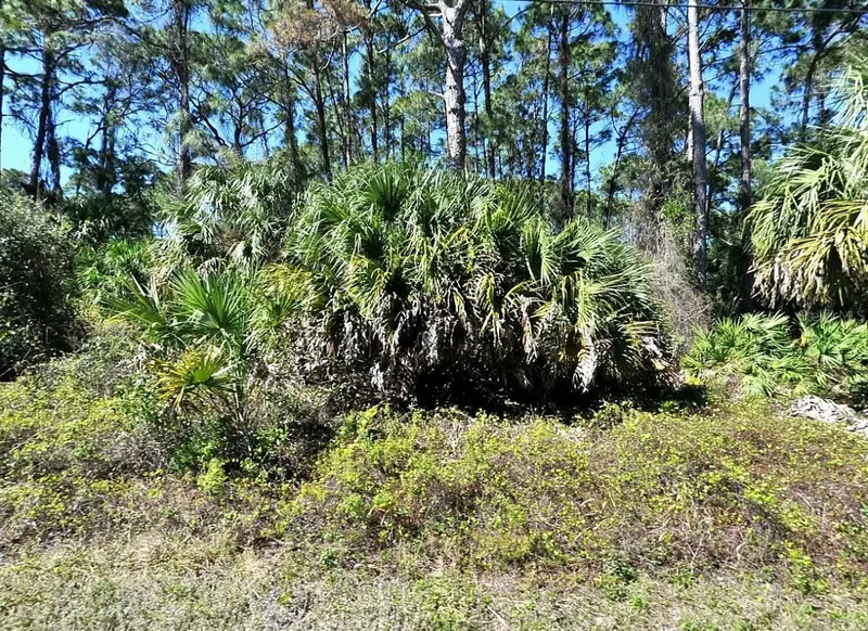 Daphne Rd, FL