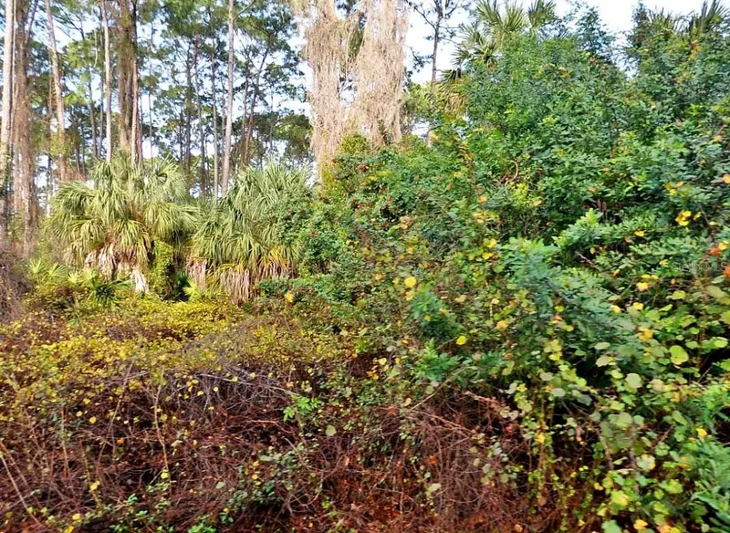 Daphne Rd, FL