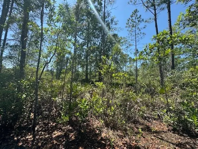 Ninemile Point Rd, FL