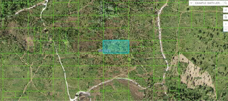Tiger Lake Rd, FL